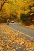 photo.net Simanta