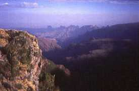kilimanjaro.cc Simien