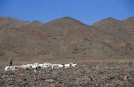 blog.conservation.org Simisha