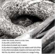 Simit