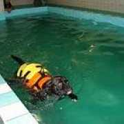 boxerboxer.se Simmar