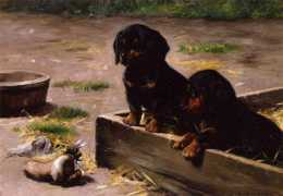 guariscogallery.com Simonsen