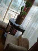 .ncv.ne.jp Simote