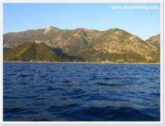 deepfishing.com Sinarit