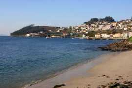 Sinas