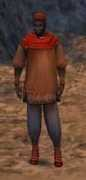 wiki.guildwars.com Sinbi