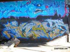 Siner