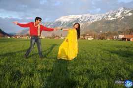 chennai365.com Singam