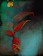 thebrighamgalleries.com Singhala
