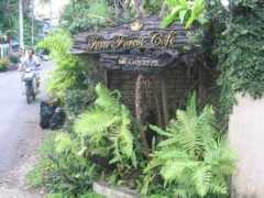 bridgeandtunnelclub.com Singharaj