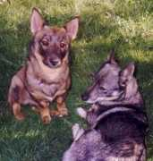 coeursdalene.com Sinika