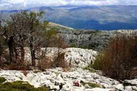 cestovani.idnes.cz Sinjal