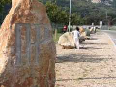 croatia.org Sinjali