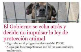 amigosdelosgalgos.org Sinley