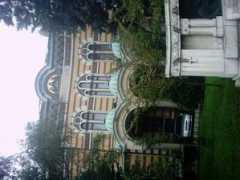 Sinod