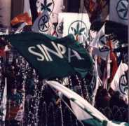 sindacatopadano.org Sinpa