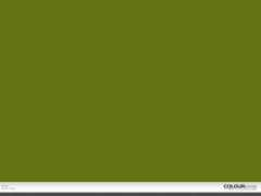 colourlovers.com Sinso