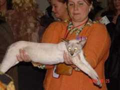 siamor.ru Siomar