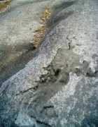 Sipin
