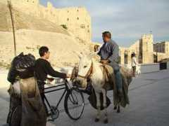 Siria