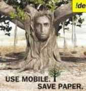 delhigreens.com Sirjee