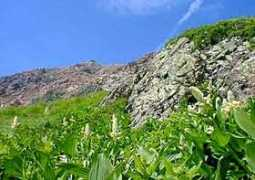 shinshu-tabi.com Siroha
