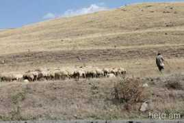 hetq.am Sisian