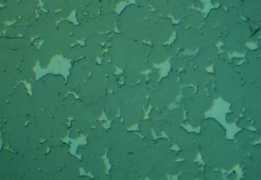 metallographic.com Sisic