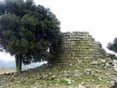 Sisini