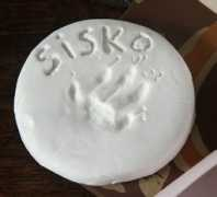 Sisko