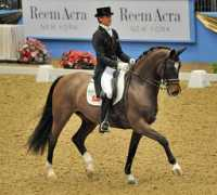 horsetalk.co.nz Sisther