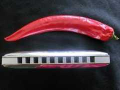 sitchet-kanda.synthasite.com Sitchet