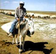 amouda.com Sivane