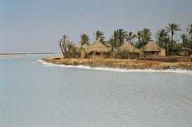 Siwa