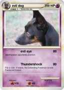 mypokecard.com Siwu