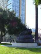 Sjrs