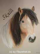 Skalli