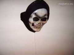 Skelet