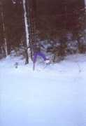 Skian