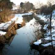 Skian