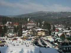 Skihar