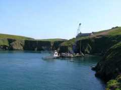 Skomer