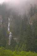 livingwilderness.com Skookum