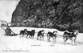 malamute-akbar.ru Skopina