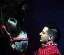 chapiteau.de Skreinig