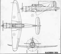 Skua