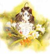 excelsis.com Skuld