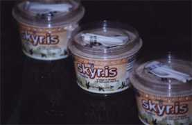 Skyr