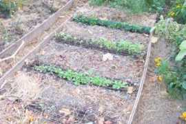 community.lincolnshire.gov.uk Slad