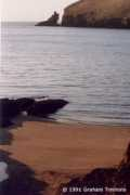 irishdolphins.com Sladin
